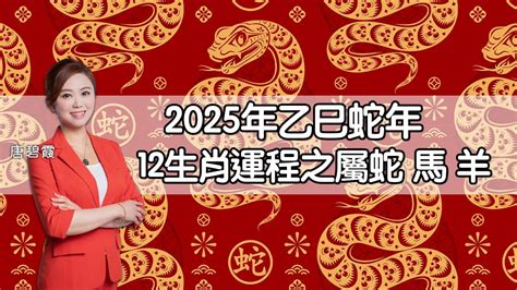 生肖屬蛇|2025蛇年運程｜12生肖運勢全面睇+犯太歲4生肖+開運大